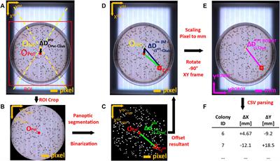 Technical upgrade of an open-source liquid handler to support bacterial colony screening